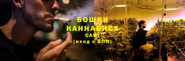 ПСИЛОЦИБИНОВЫЕ ГРИБЫ Армянск