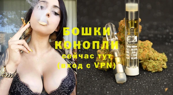 спиды Аркадак