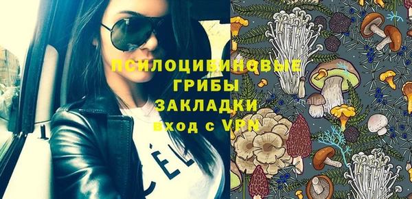 спиды Аркадак