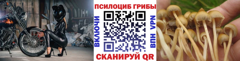 Галлюциногенные грибы мицелий  Бавлы 